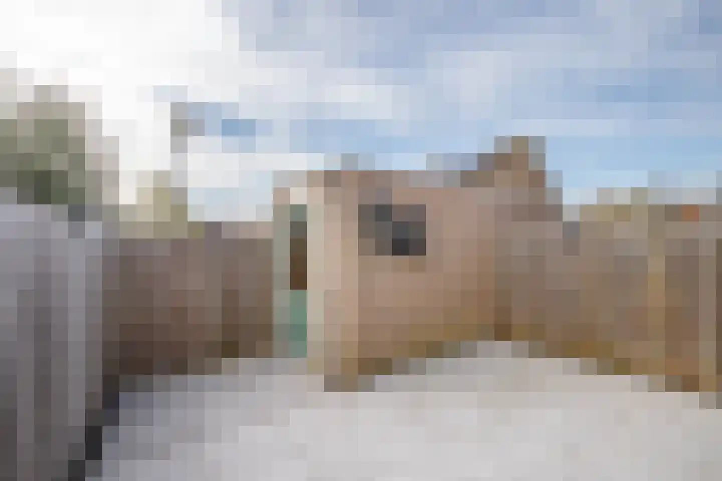 Aan de Dwarssloot 11 Ammerstol thumbnail 30