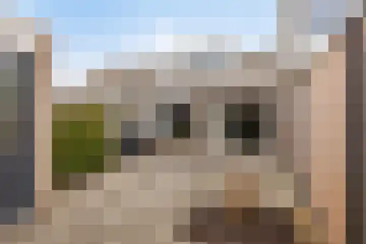 Aan de Dwarssloot 19 Ammerstol thumbnail 20