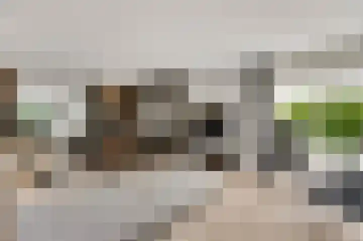 Aan de Eppenbeek 12 Swalmen thumbnail 14