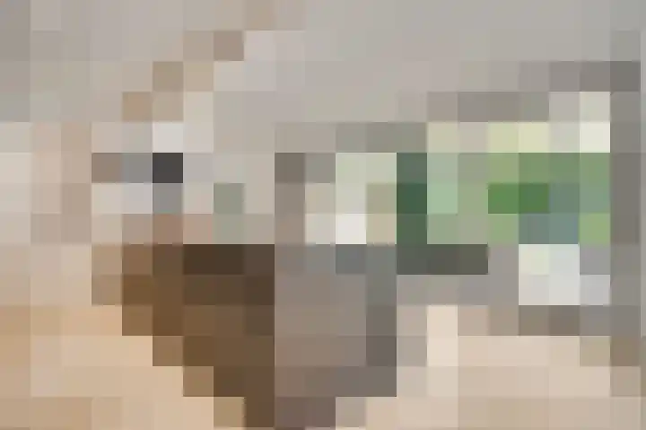 Aan de Eppenbeek 12 Swalmen thumbnail 16