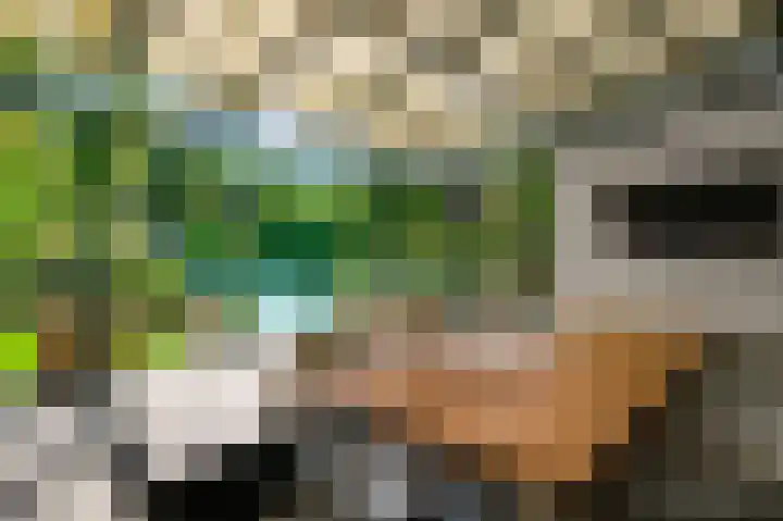 Aan de Eppenbeek 12 Swalmen thumbnail 39
