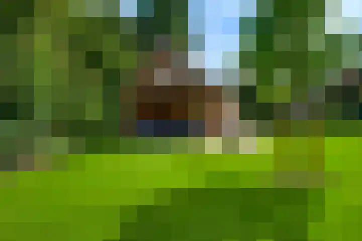 Aan de Eppenbeek 12 Swalmen thumbnail 46