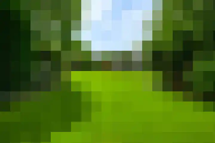 Aan de Eppenbeek 12 Swalmen thumbnail 47