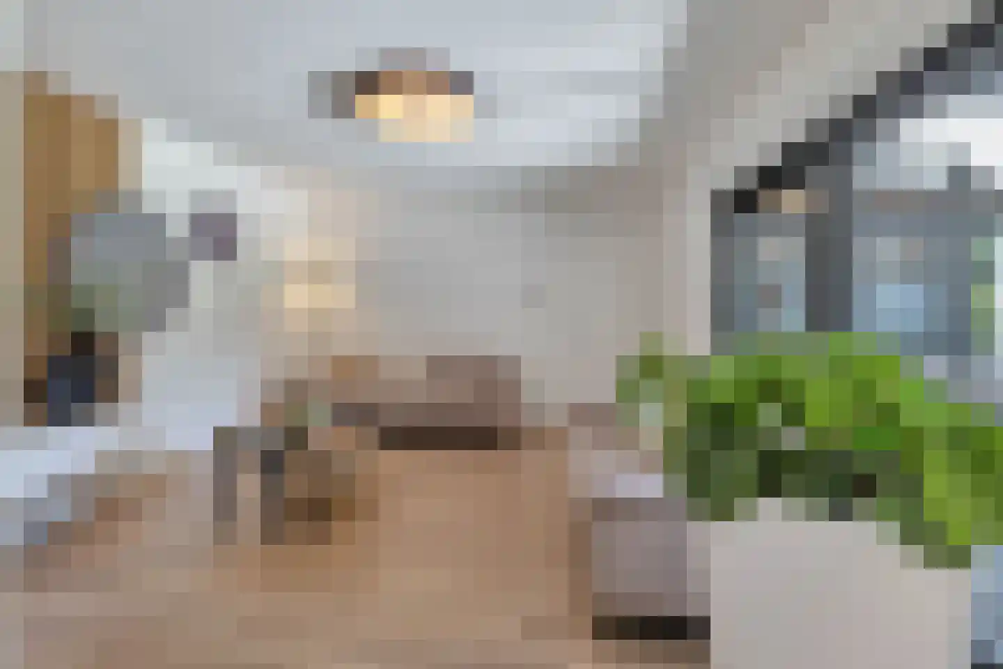 Aan de Gellik 3620 Lanaken Elsloo thumbnail 10