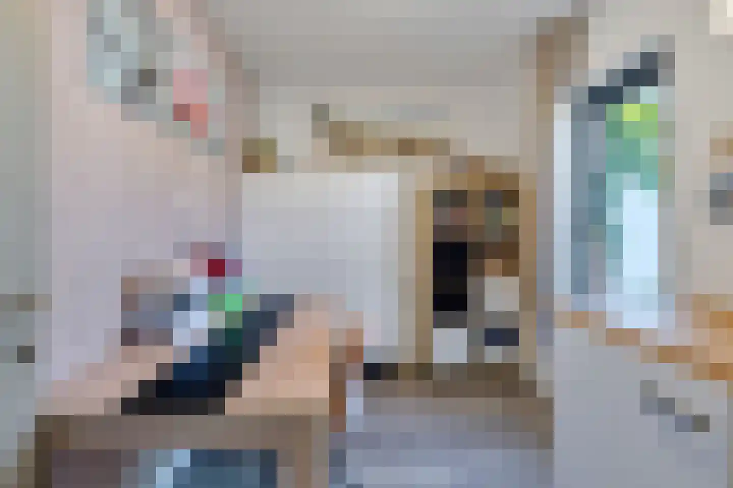 Aan de Gellik 3620 Lanaken Elsloo thumbnail 13