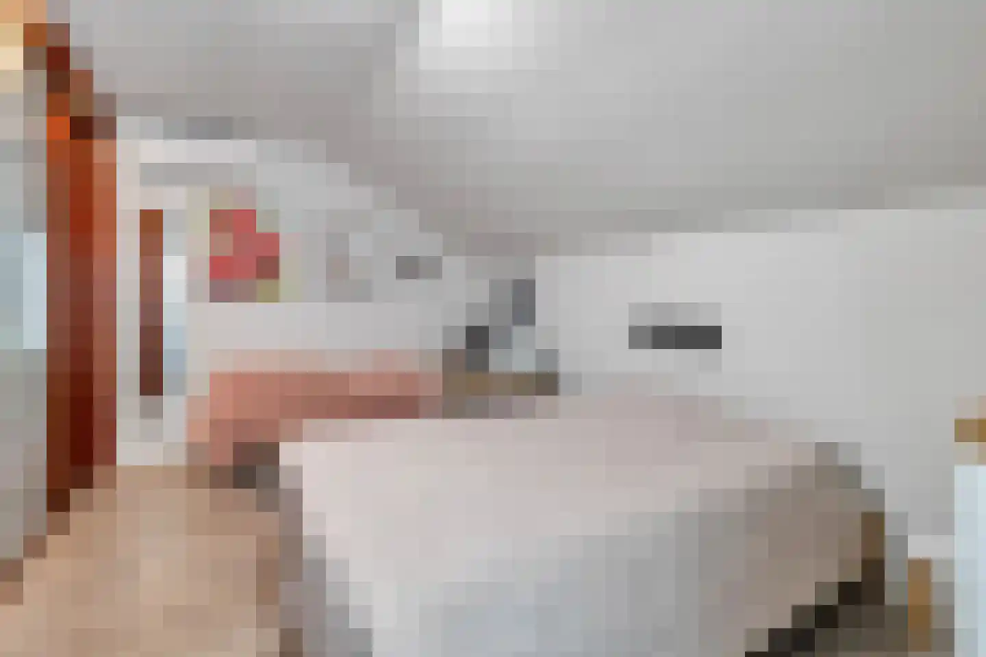 Aan de Gellik 3620 Lanaken Elsloo thumbnail 17