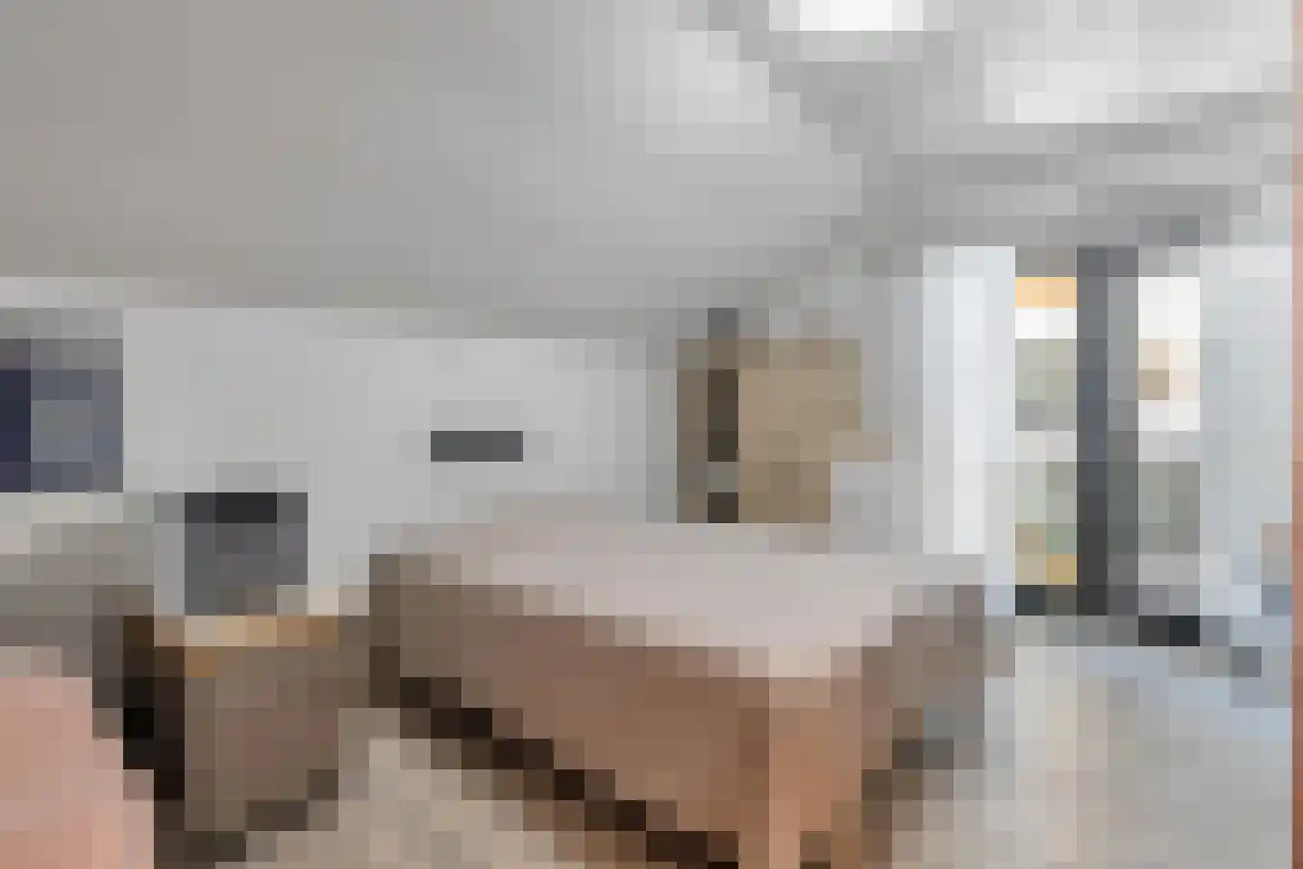 Aan de Gellik 3620 Lanaken Elsloo thumbnail 18