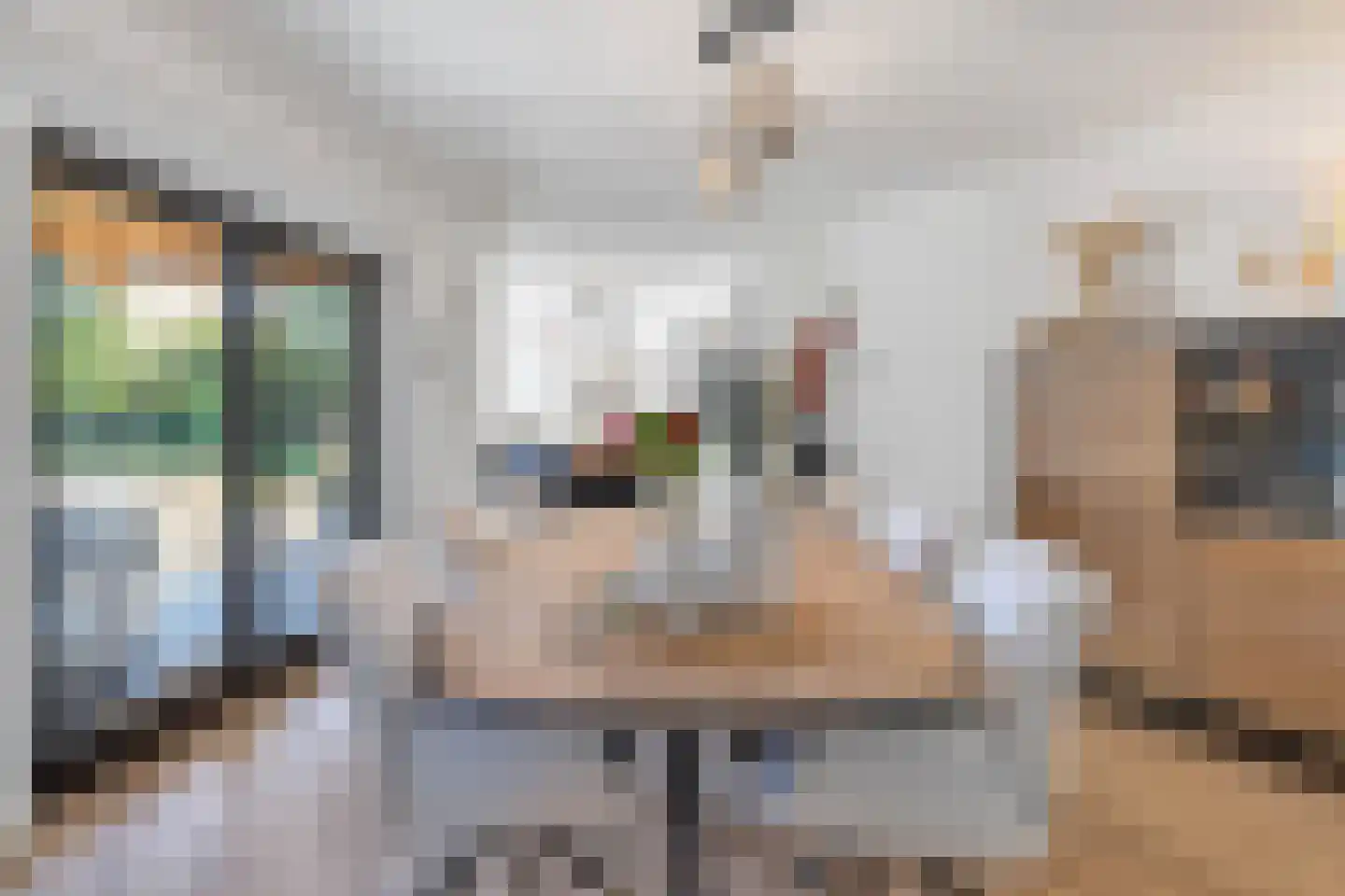 Aan de Gellik 3620 Lanaken Elsloo thumbnail 20