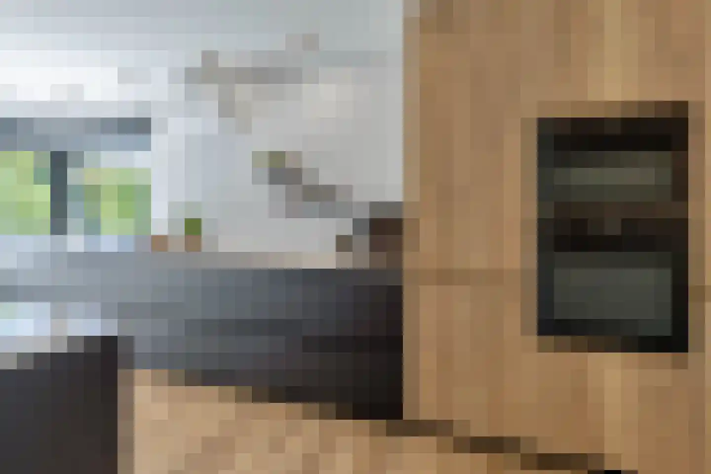 Aan de Gellik 3620 Lanaken Elsloo thumbnail 28