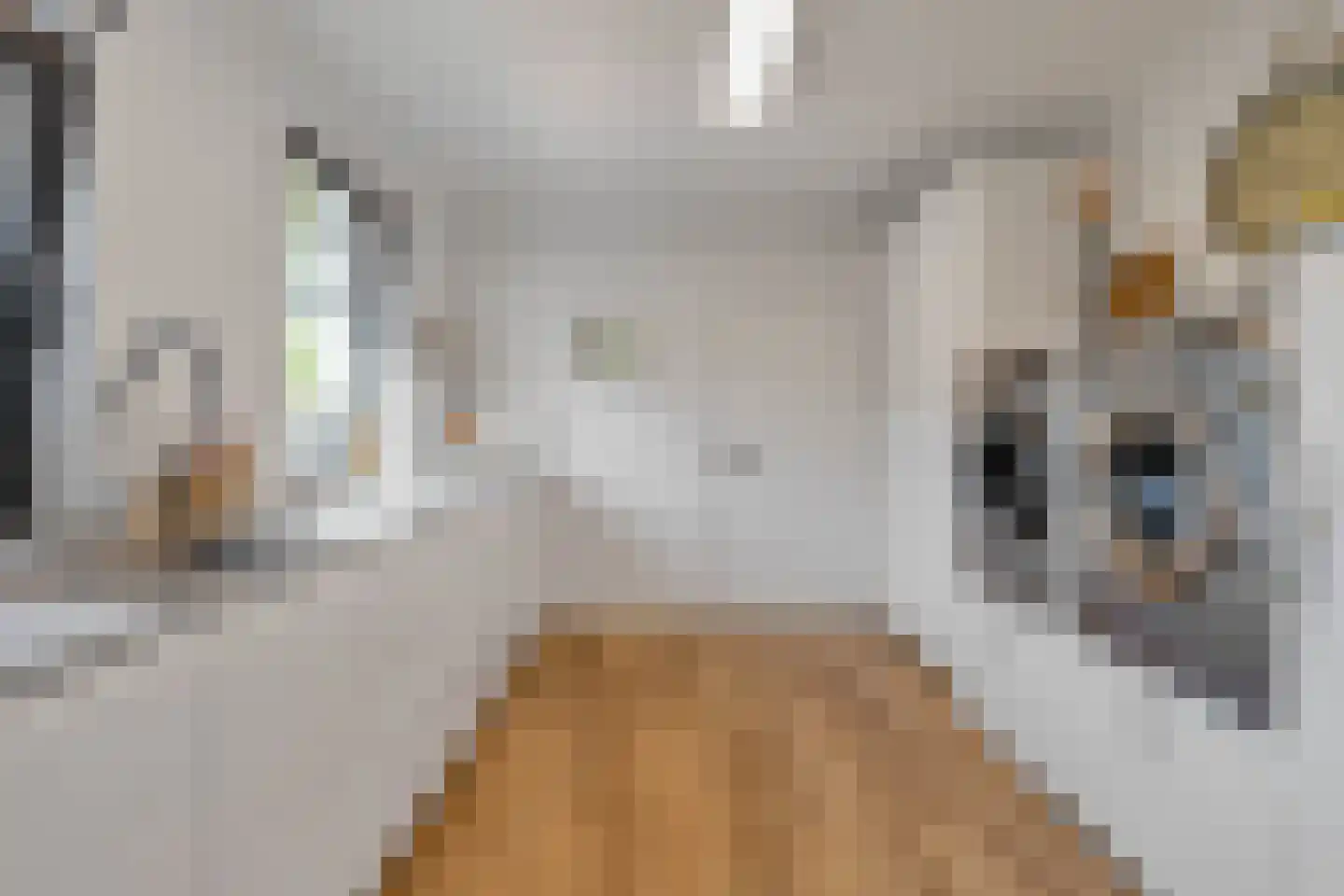 Aan de Gellik 3620 Lanaken Elsloo thumbnail 33