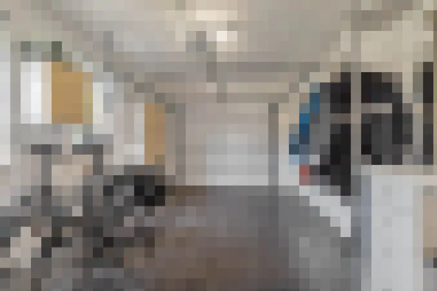 Aan de Gellik 3620 Lanaken Elsloo thumbnail 34