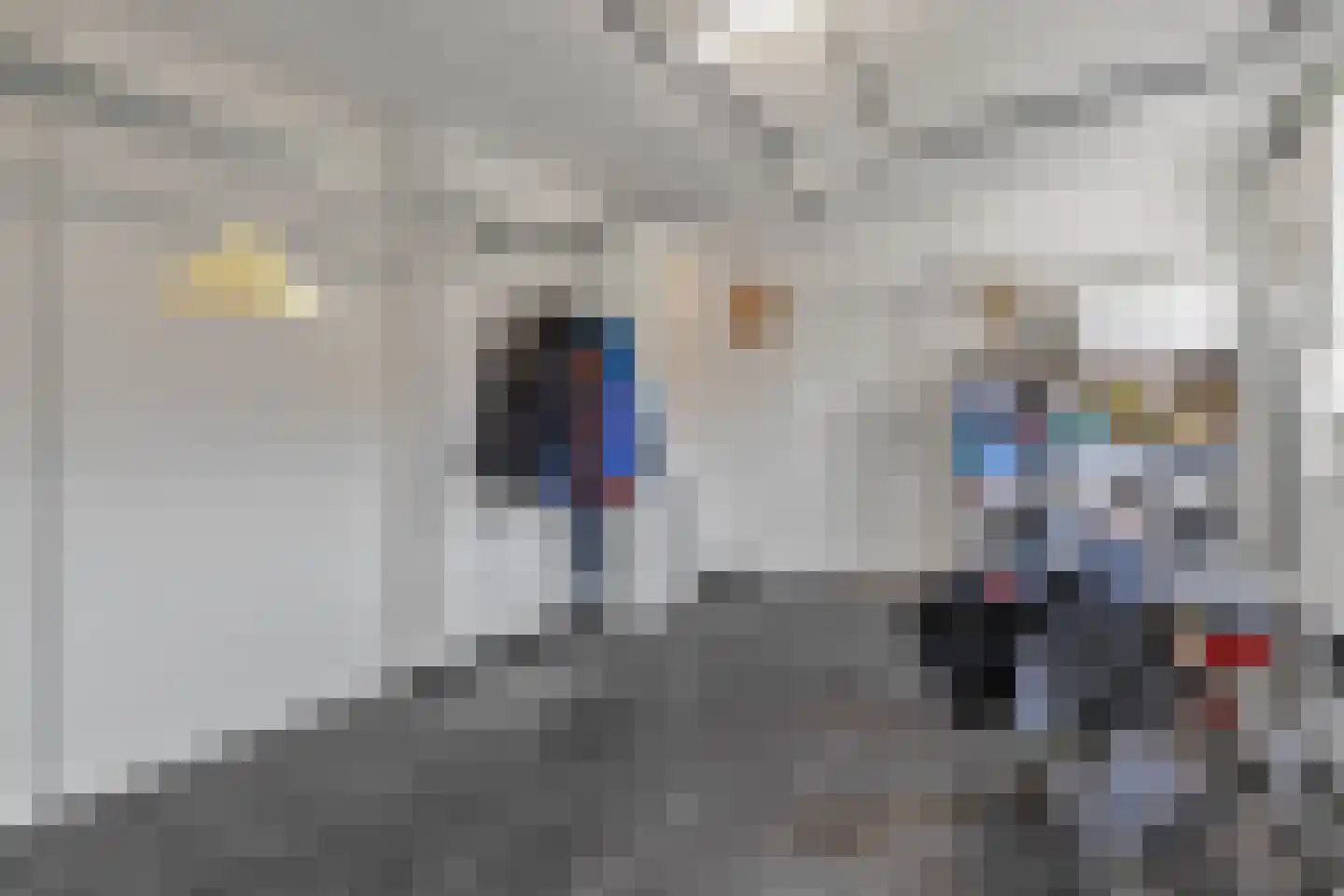 Aan de Gellik 3620 Lanaken Elsloo thumbnail 36