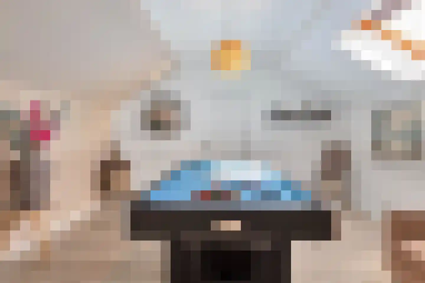 Aan de Gellik 3620 Lanaken Elsloo thumbnail 38