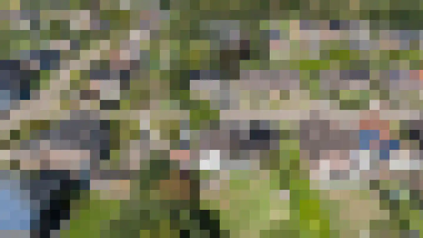 Aan de Gellik 3620 Lanaken Elsloo thumbnail 44