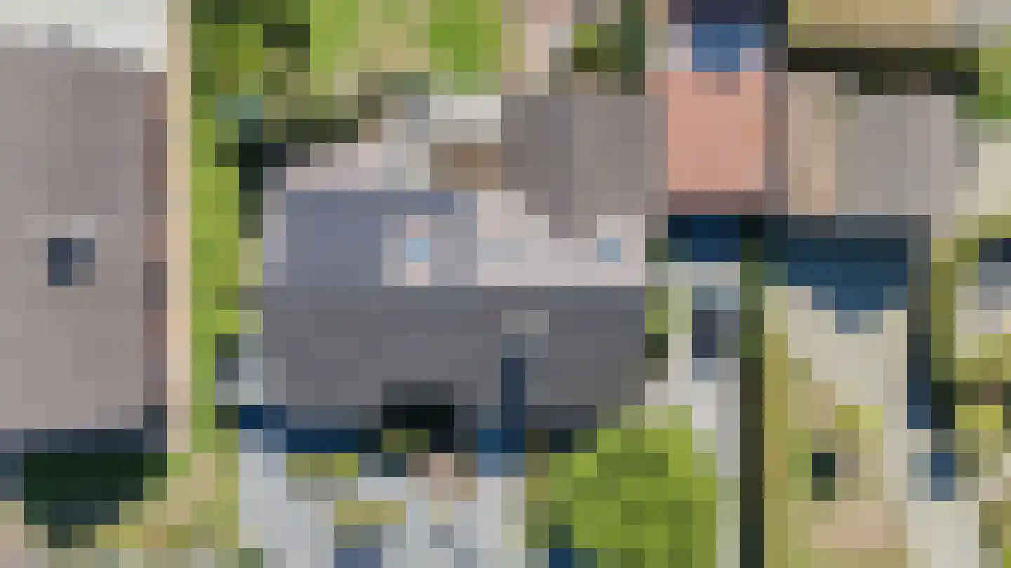 Aan de Gellik 3620 Lanaken Elsloo thumbnail 45