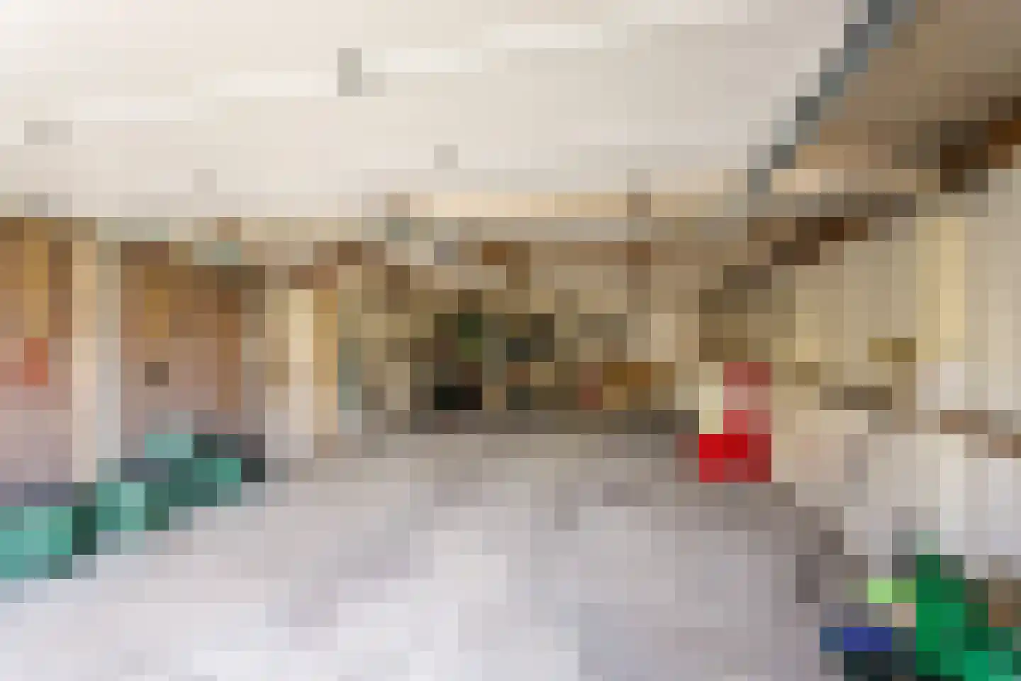 Aan de Gellik 3620 Lanaken Elsloo thumbnail 48