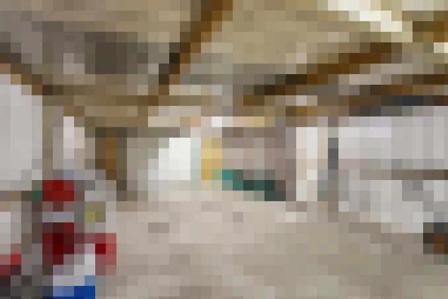 Aan de Gellik 3620 Lanaken Elsloo thumbnail 50