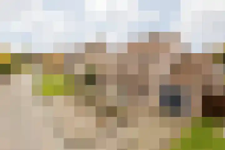 Aan de Gellik 6 Elsloo thumbnail 10