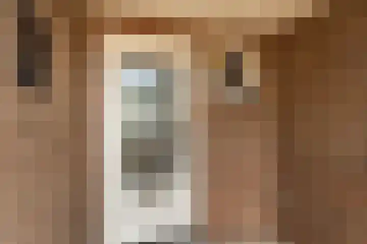Aan de Gellik 6 Elsloo thumbnail 12