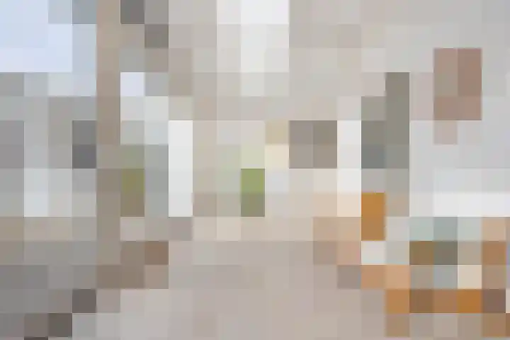 Aan de Gellik 6 Elsloo thumbnail 25