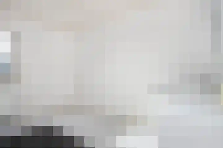 Aan de Gellik 6 Elsloo thumbnail 40