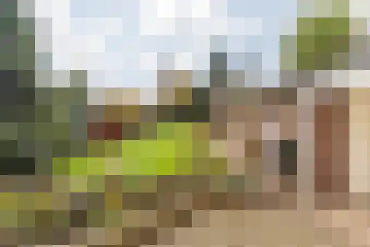 Aan de Gellik 6 Elsloo thumbnail 49