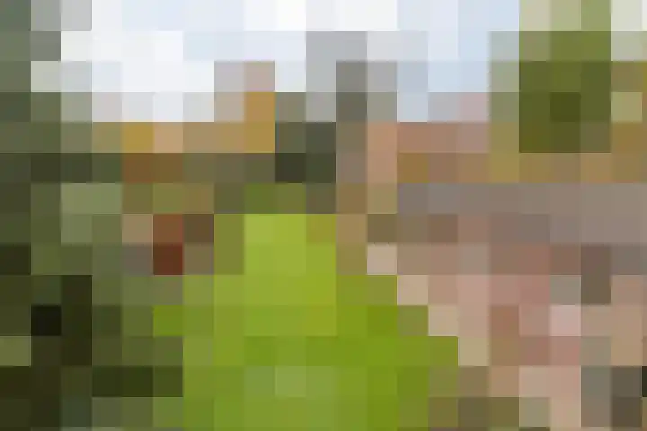 Aan de Gellik 6 Elsloo thumbnail 50