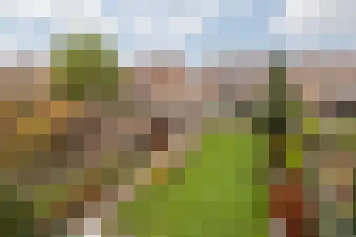 Aan de Gellik 6 Elsloo thumbnail 51