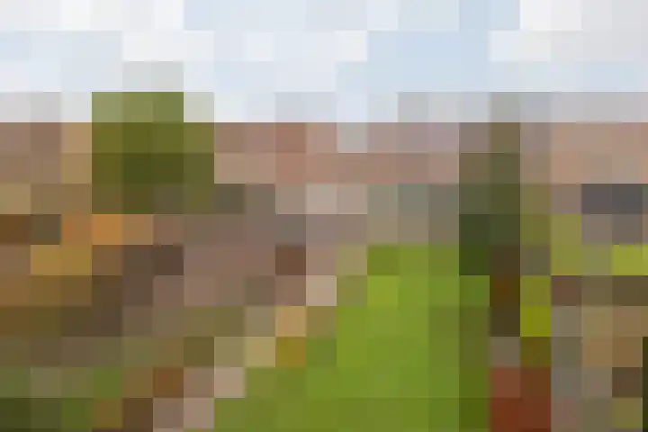 Aan de Gellik 6 Elsloo thumbnail 52