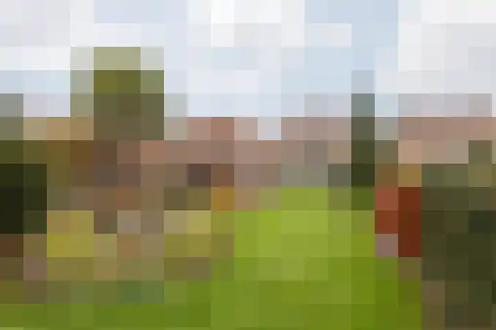 Aan de Gellik 6 Elsloo thumbnail 53