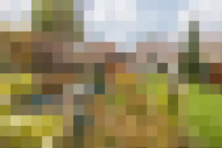 Aan de Gellik 6 Elsloo thumbnail 54