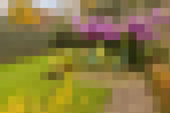 Aan de Gellik 6 Elsloo thumbnail 56