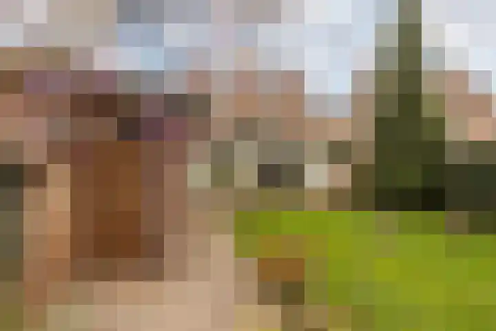 Aan de Gellik 6 Elsloo thumbnail 57