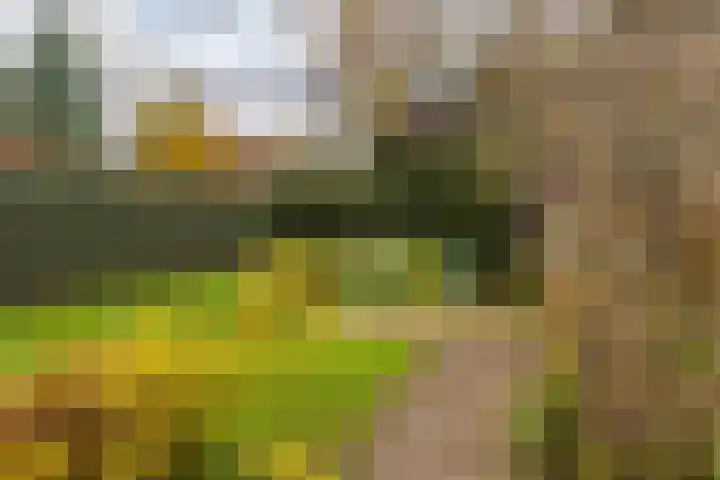 Aan de Gellik 6 Elsloo thumbnail 58