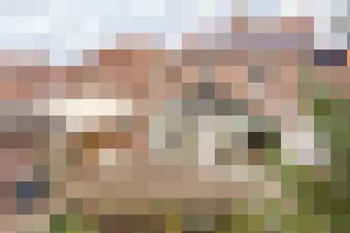 Aan de Gellik 6 Elsloo thumbnail 65