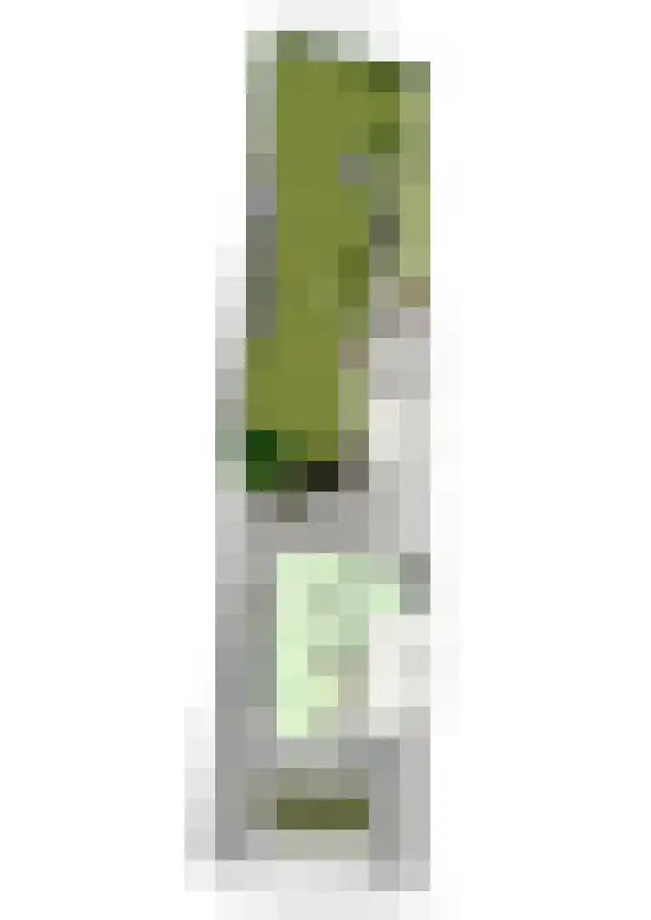 Aan de Gellik 6 Elsloo thumbnail 69