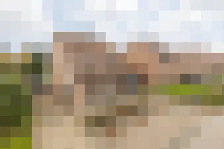 Aan de Gellik 6 Elsloo thumbnail 9