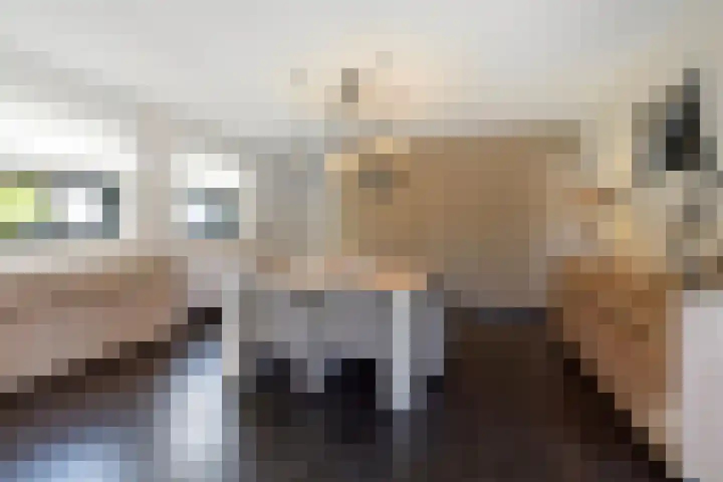 Aan de Gellik 62 Elsloo thumbnail 16