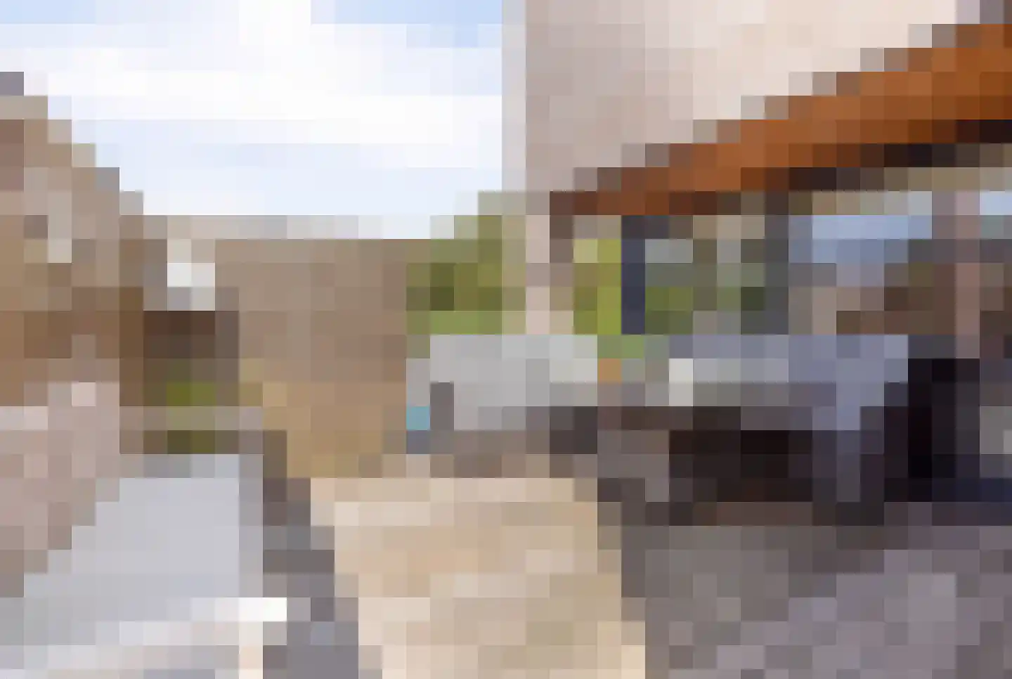 Aan de Gellik 62 Elsloo thumbnail 19