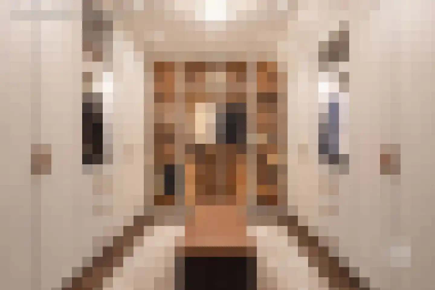 Aan de Gellik 62 Elsloo thumbnail 35
