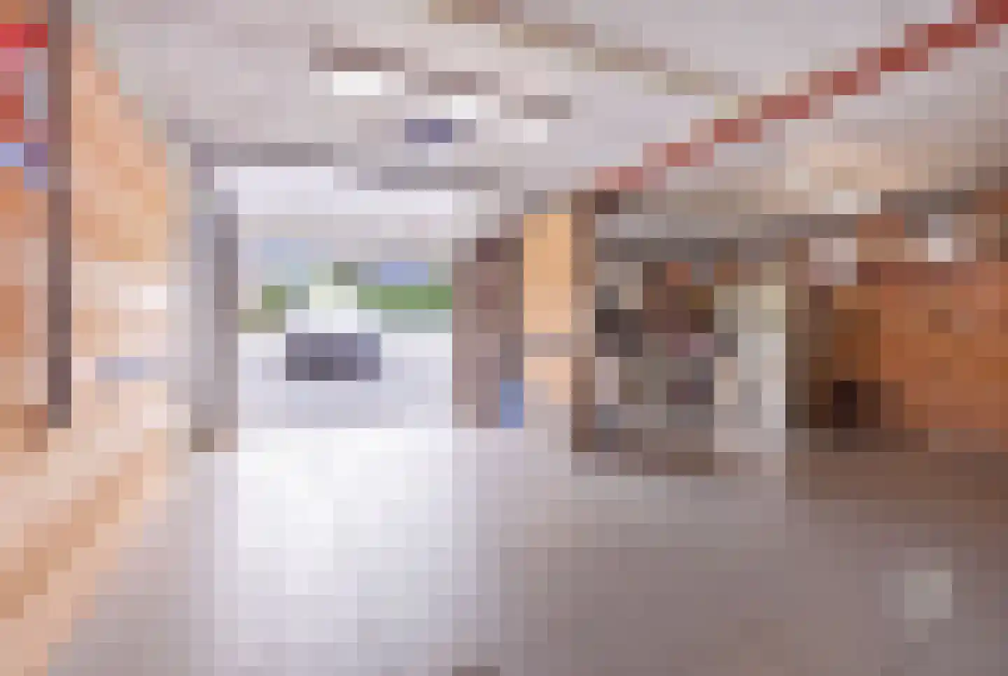 Aan de Gellik 62 Elsloo thumbnail 39