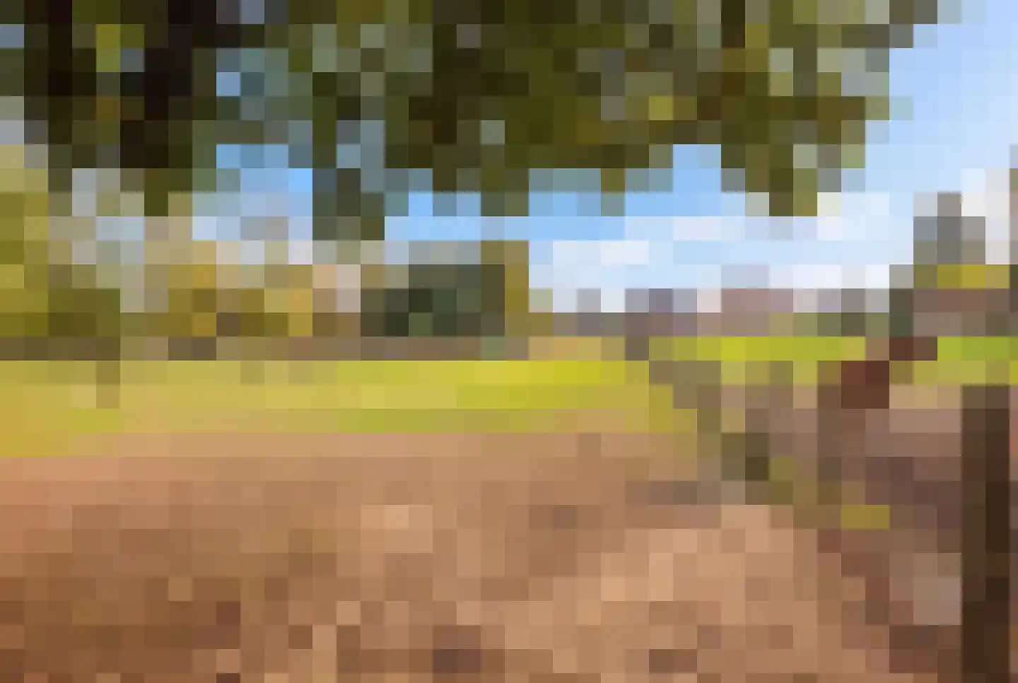 Aan de Gellik 62 Elsloo thumbnail 4