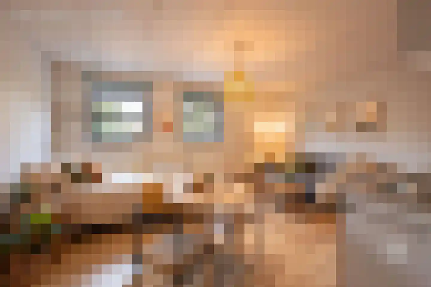 Aan de Gellik 62 Elsloo thumbnail 46