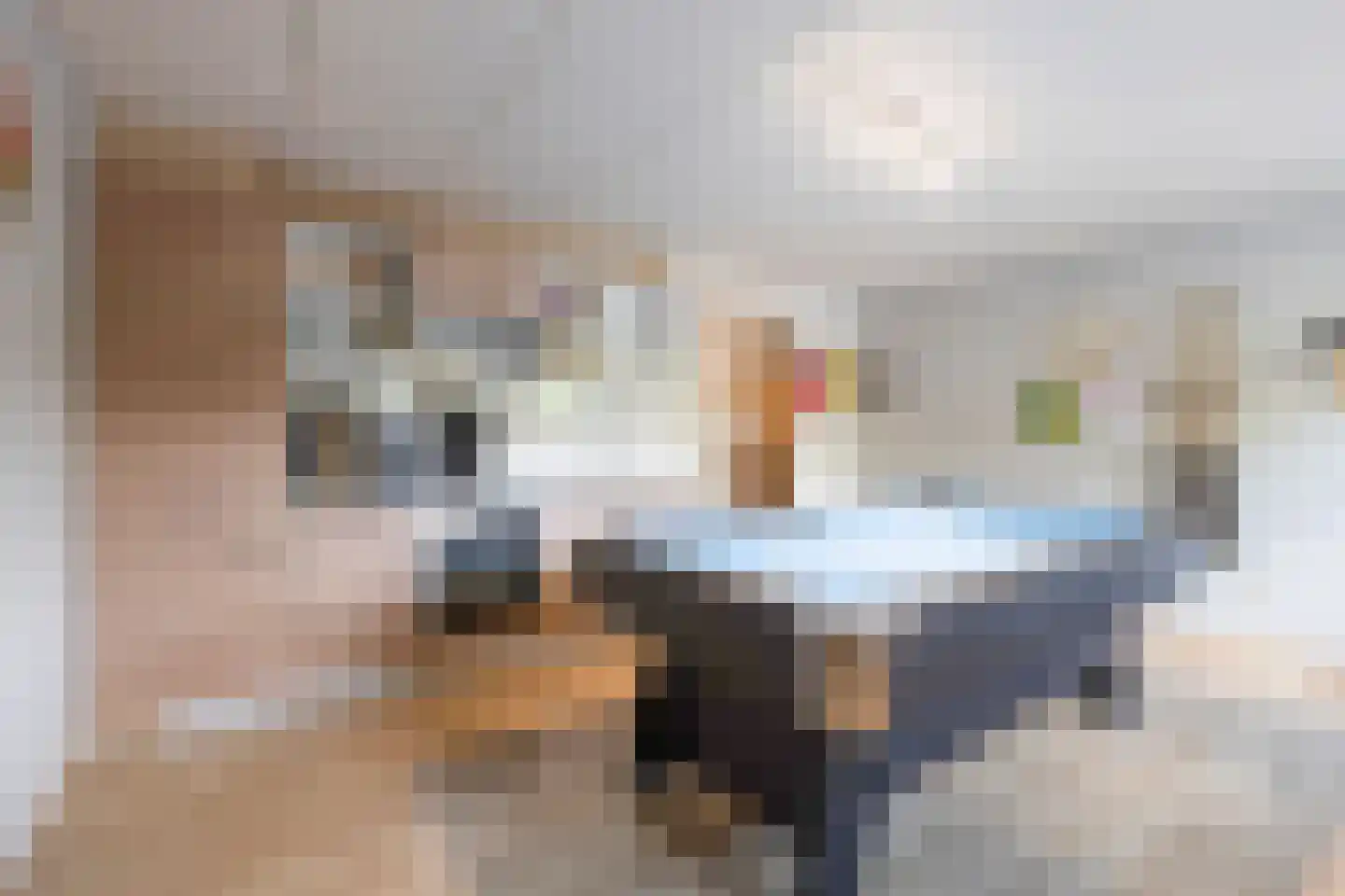 Aan de Gellik 62 Elsloo thumbnail 48