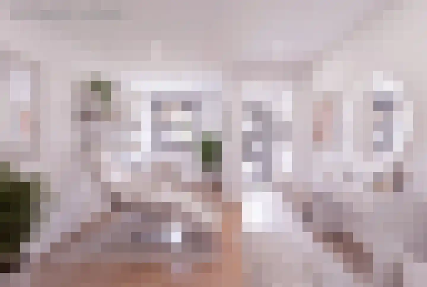 Aan de Gellik 62 Elsloo thumbnail 50