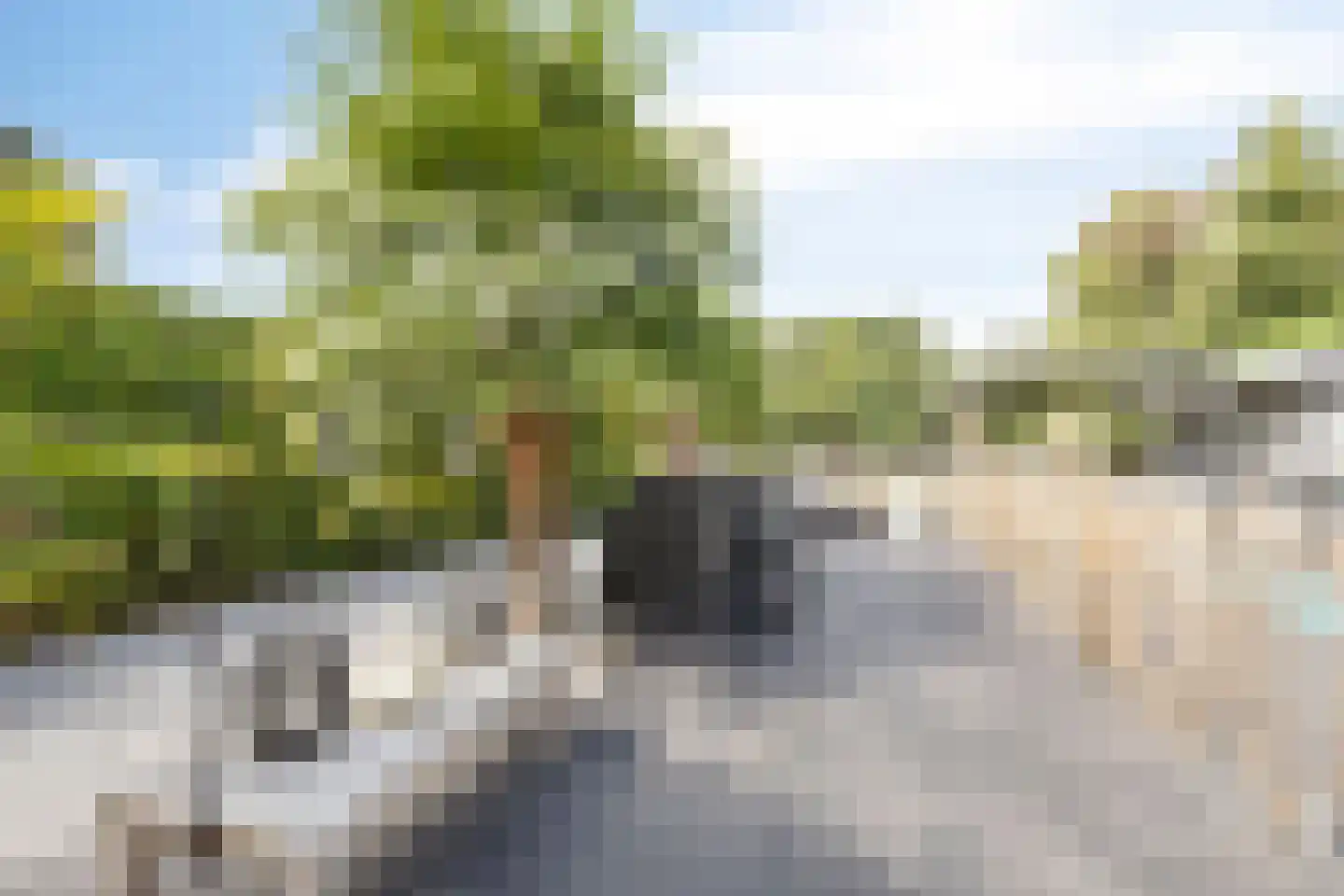 Aan de Gellik 62 Elsloo thumbnail 53