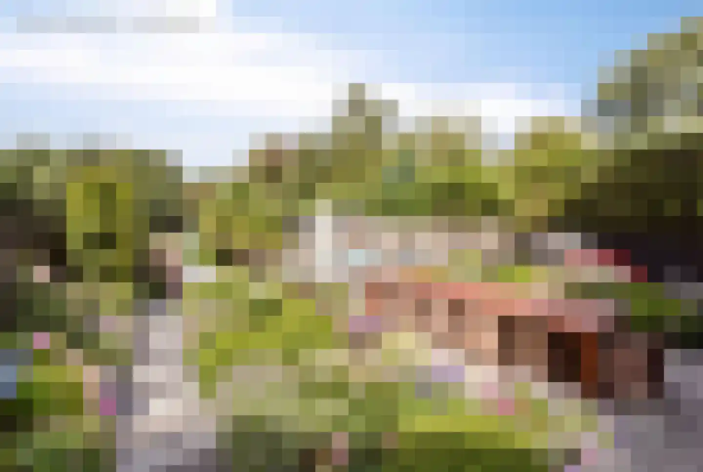 Aan de Gellik 62 Elsloo thumbnail 56