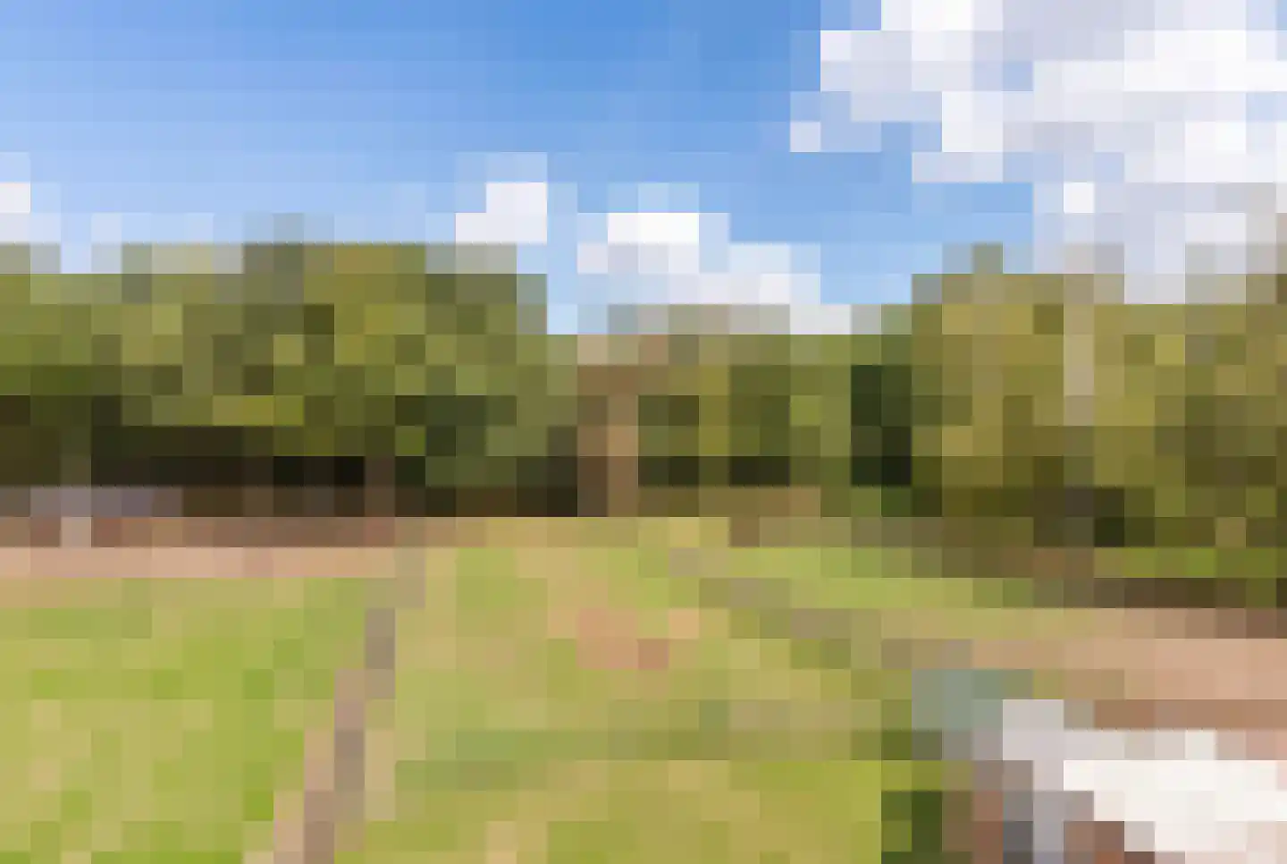 Aan de Gellik 62 Elsloo thumbnail 57