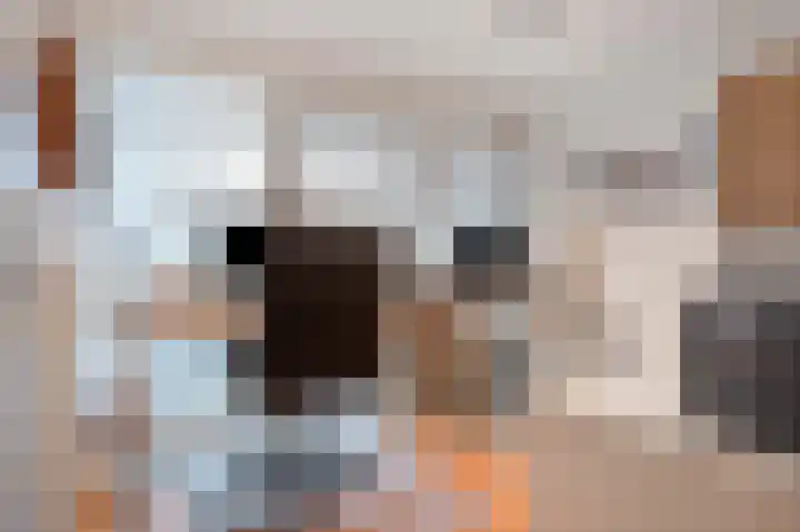 Aan de Greune Paol 17 3 Grevenbicht thumbnail 31