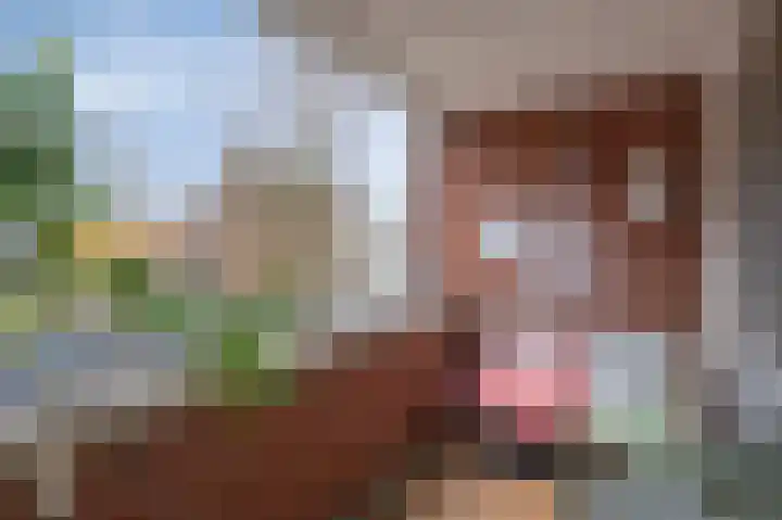 Aan de Greune Paol 17 3 Grevenbicht thumbnail 32